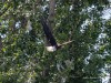 20260627-_DSC8182