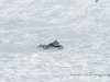 20170128DSC_4518
