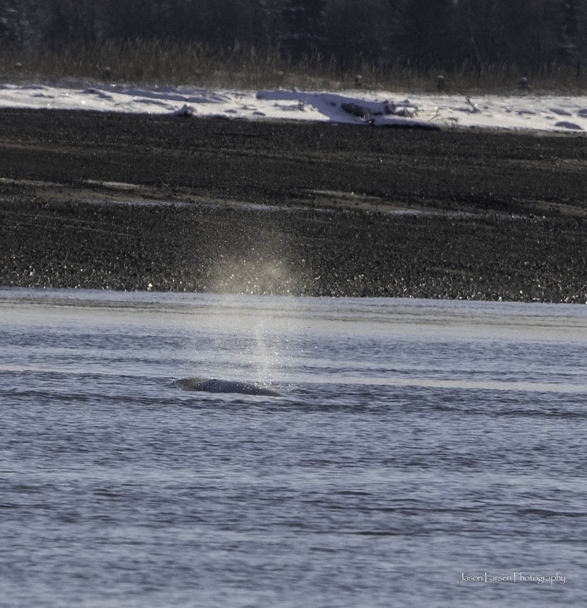 20251113-_DSC5503
