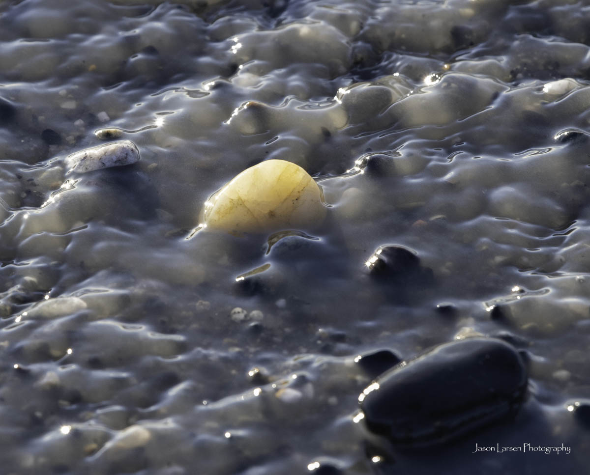 20251113-_DSC5677