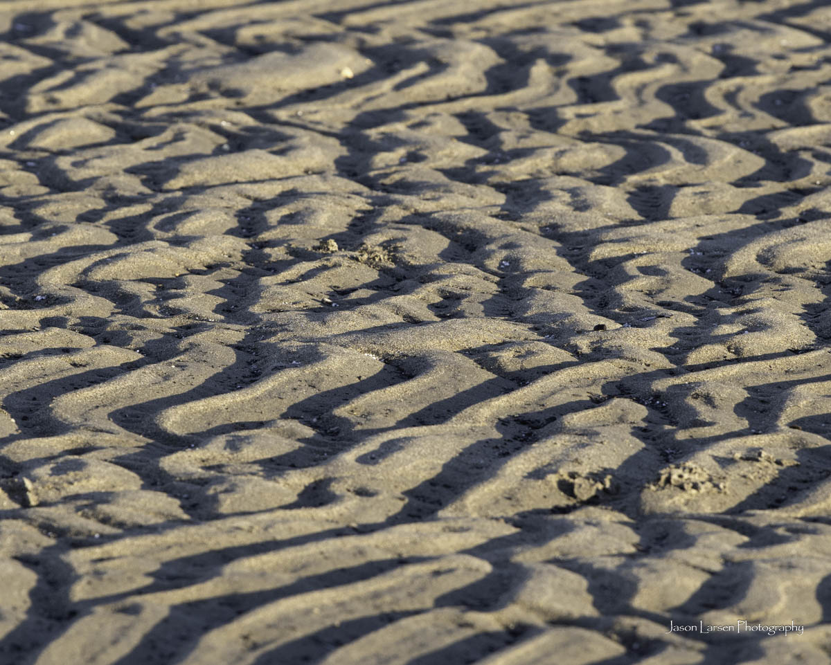 20251113-_DSC5707