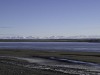 20251113-_DSC5427