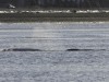 20251113-_DSC5457