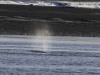20251113-_DSC5503