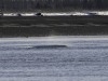 20251113-_DSC5514