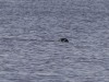 20251113-_DSC5519