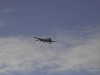 20251113-_DSC5586