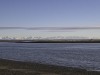 20251113-_DSC5595