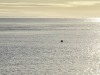 20251113-_DSC5623