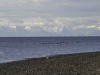 20251113-_DSC5646