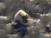 20251113-_DSC5666