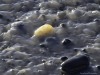 20251113-_DSC5677