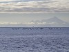 20251113-_DSC5705