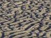 20251113-_DSC5707