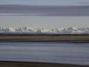 20251113-_DSC5710