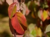 20171022DSC_9196