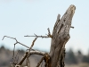 20140302dsc_3285