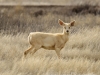 20140302dsc_3310