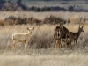 20140302dsc_3317