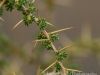 20140302dsc_3367
