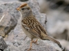20140302dsc_3371