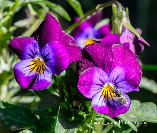 20151017DSC_8463