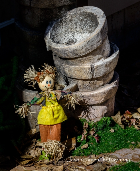 20151017DSC_8492