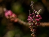 20151017DSC_8445