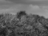 20220319_DSC5420