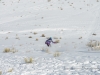 20170128DSC_5095