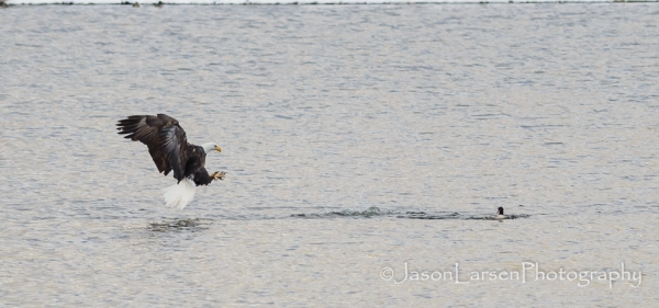 2013dsc_8998