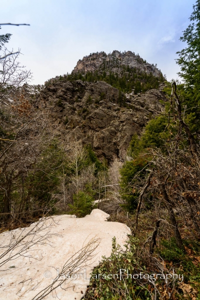 20140412DSC_5143