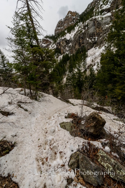 20140412DSC_5174