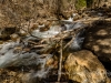 20140412DSC_5073