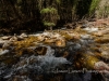 20140412DSC_5097