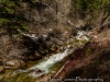 20140412DSC_5108