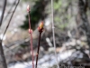 20140412DSC_5115