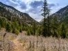 20140412DSC_5135