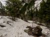 20140412DSC_5174