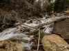 20140412DSC_5194