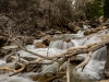 20140412DSC_5196