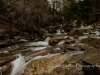 20140412DSC_5205