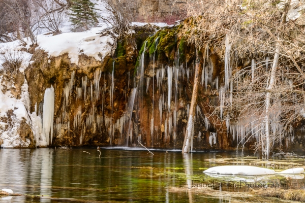 20150117DSC_3389