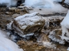 20150117DSC_3355