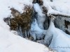 20150117DSC_3363