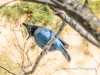 20150117DSC_3425