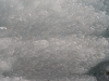 20150117DSC_3456
