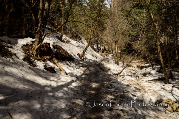 20140405DSC_4895