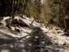 20140405DSC_4895