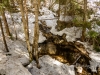 20140405DSC_4899